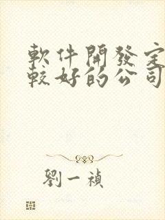 软件开发定制比较好的公司
