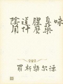 阴道腥臭味瘙痒用什么药