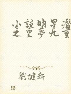 小说明星潜规则之皇梦九重
