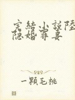 完结小说陆少的隐婚罪妻