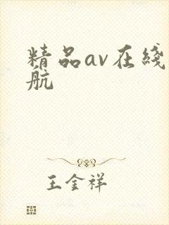 精品av在线导航