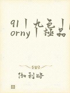 91丨九色丨porny丨极品