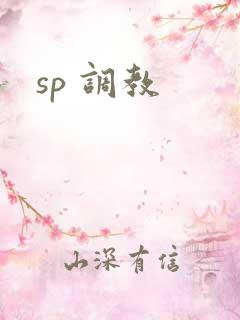 sp 调教