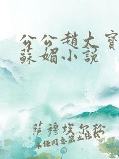 公公赵大宝儿媳苏媚小说