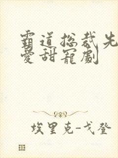 霸道总裁先婚后爱甜宠剧