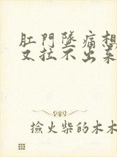 肛门坠痛想大便又拉不出来吃什么药