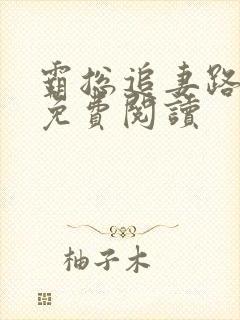 霸总追妻路漫漫免费阅读