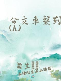公交车系列小说(h)