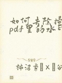 如何去除扫描王pdf里的水印