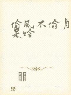 偷风不偷月结局是啥