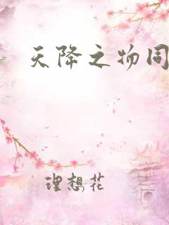 天降之物同人