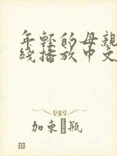 年轻的母亲1在线播放中文字