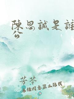 陈思诚是谁的老公