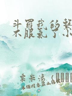 斗罗我的系统又不服气了小说
