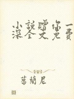 小说赠你一世情深全文免费阅读
