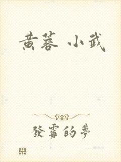 黄蓉 小武
