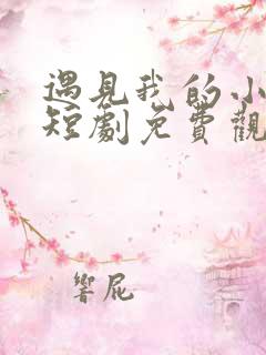 遇见我的小欢喜短剧免费观看大结局视频