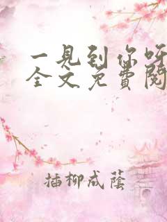 一见到你呀小说全文免费阅读完整版