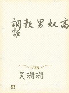 调教男奴高h小说