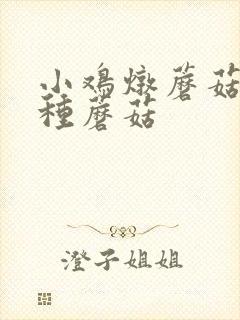 小鸡炖蘑菇是哪种蘑菇