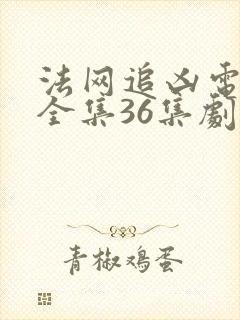 法网追凶电视剧全集36集剧情