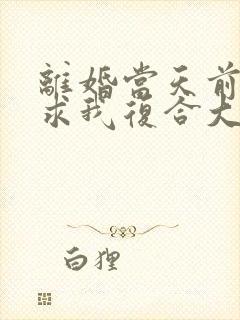 离婚当天前夫跪求我复合大结局