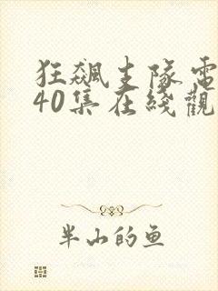 狂飙支队电视剧40集在线观看免费