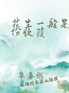 花生一般是几月份收获