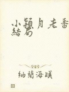 小颖月老番外大结局