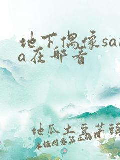 地下偶像sana在哪看