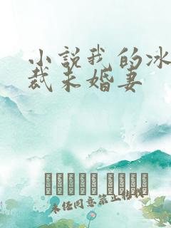 小说我的冰山总裁未婚妻