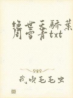 绝世天骄叶凌天周雪青txt