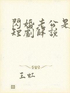 闪婚老公是总裁短剧解说