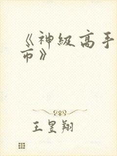 《神级高手在都市》