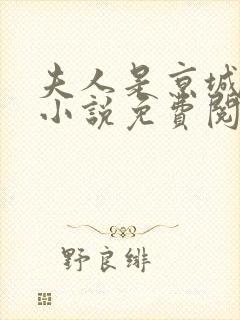 夫人是京城一霸小说免费阅读