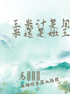 玉米汁是用老玉米还是嫩玉米榨的