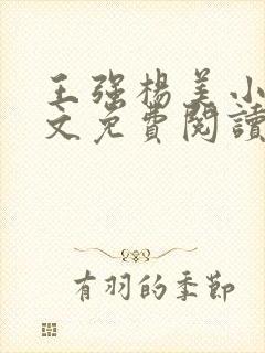 王强杨美小说全文免费阅读最新章节