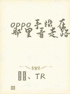 oppo手机在哪里看走路步数