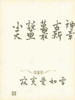 小说万古神帝飞天鱼最新章节目录