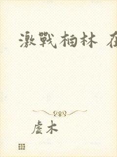 激战柏林 在线