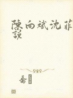 陈向斌沈菲菲小说