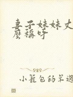 妻子妹妹丈夫怎么称呼