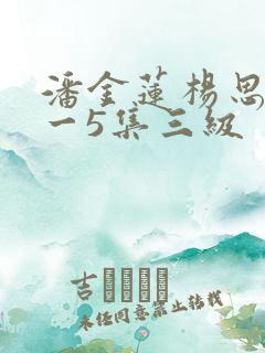 潘金莲杨思敏1一5集三级