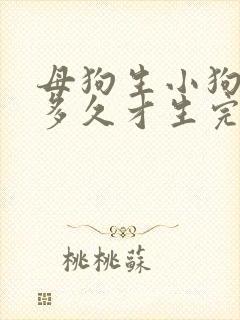 母狗生小狗要生多久才生完