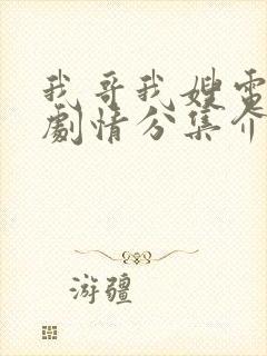 我哥我嫂电视剧剧情分集介绍