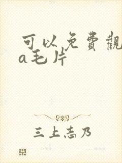 可以免费观看aa毛片