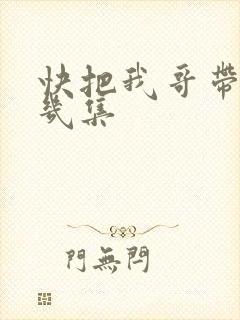 快把我哥带走有几集