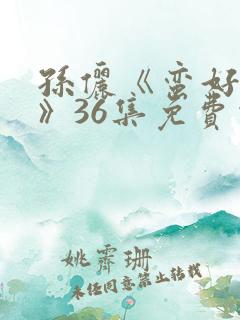 孙俪《蛮好人生》36集免费观看