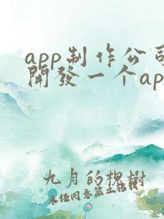app制作公司开发一个app价格