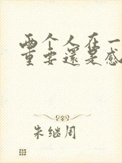 两个人在一起性重要还是感情重要